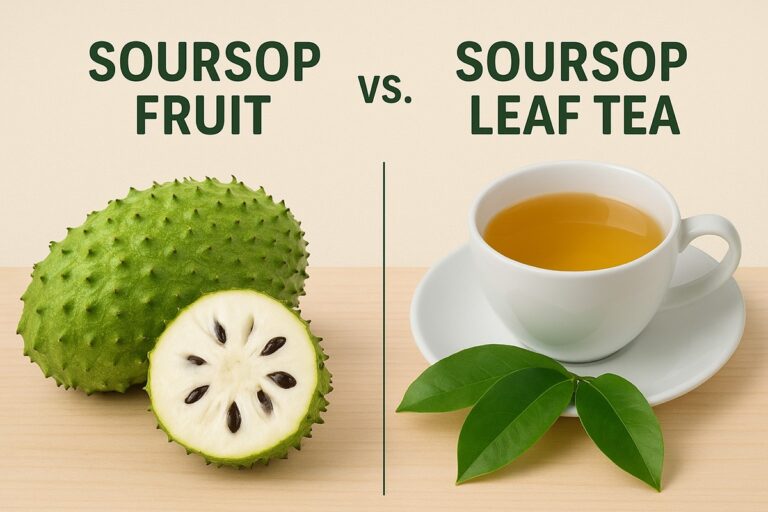 Soursop Fruit vs Soursop Tea Leaf